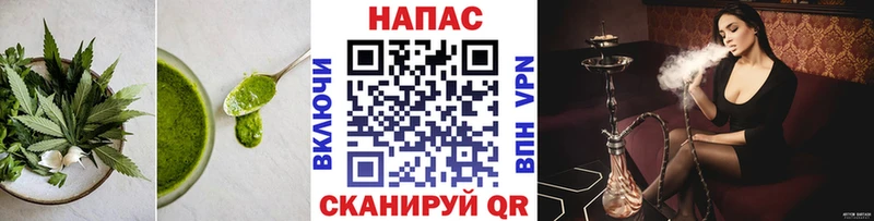Cannafood конопля  OMG вход  Каргат 