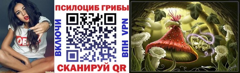 Галлюциногенные грибы MAGIC MUSHROOMS  закладка  Каргат 